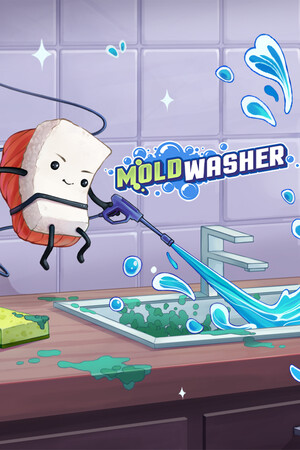 Moldwasher
